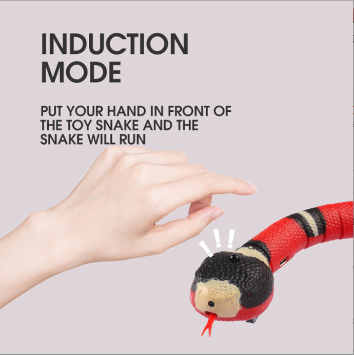 Interactieve elektrische inductie slang / grappig katten speelgoed