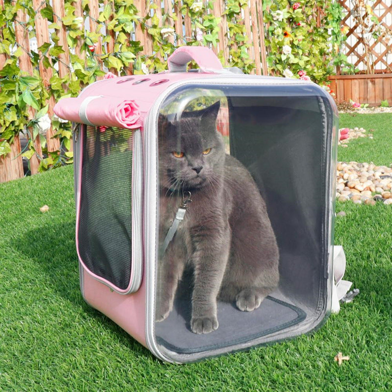 Ademende schoudertas voor katten