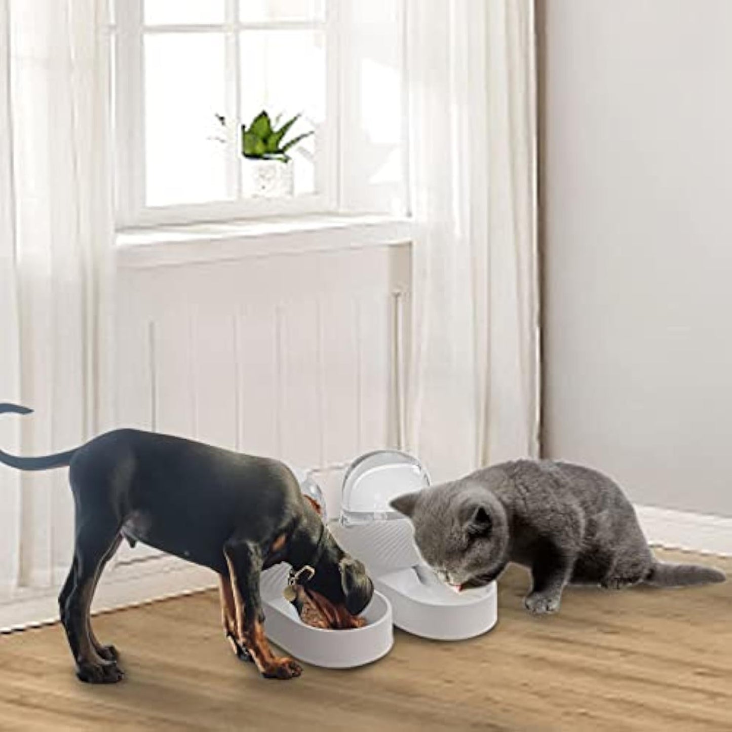 2 stuks kattenvoerbak en waterdispenser