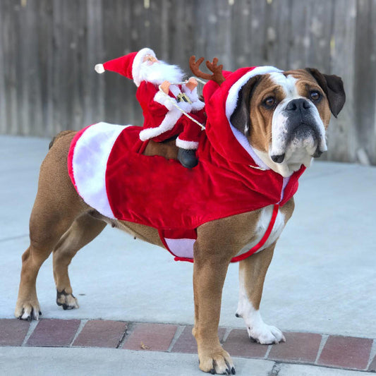 Hondenkerstkleding / Kerstman op hert 