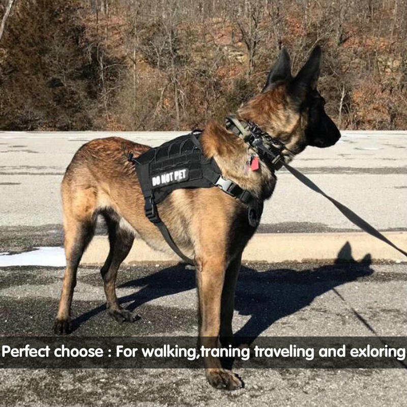 Trainingshondenriem
