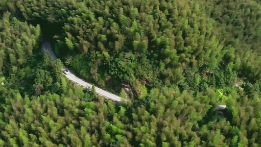 Militaire tactische hondenharnas