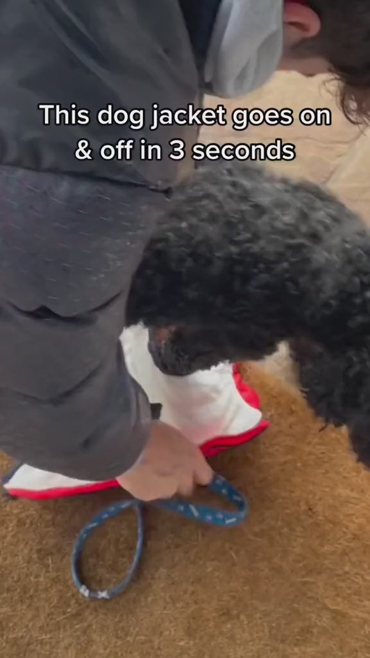 Warme kleding voor honden met katoenen vulling